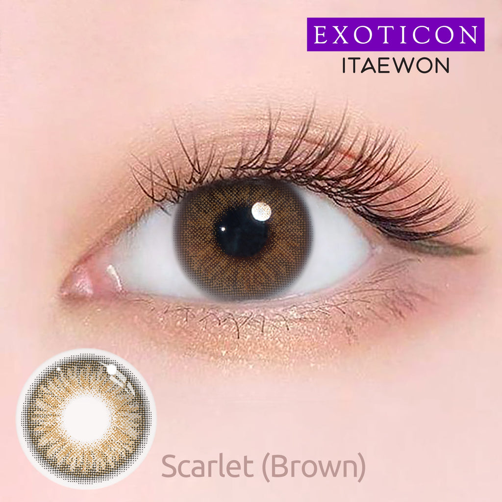 Itaewon Scarlet Brown
