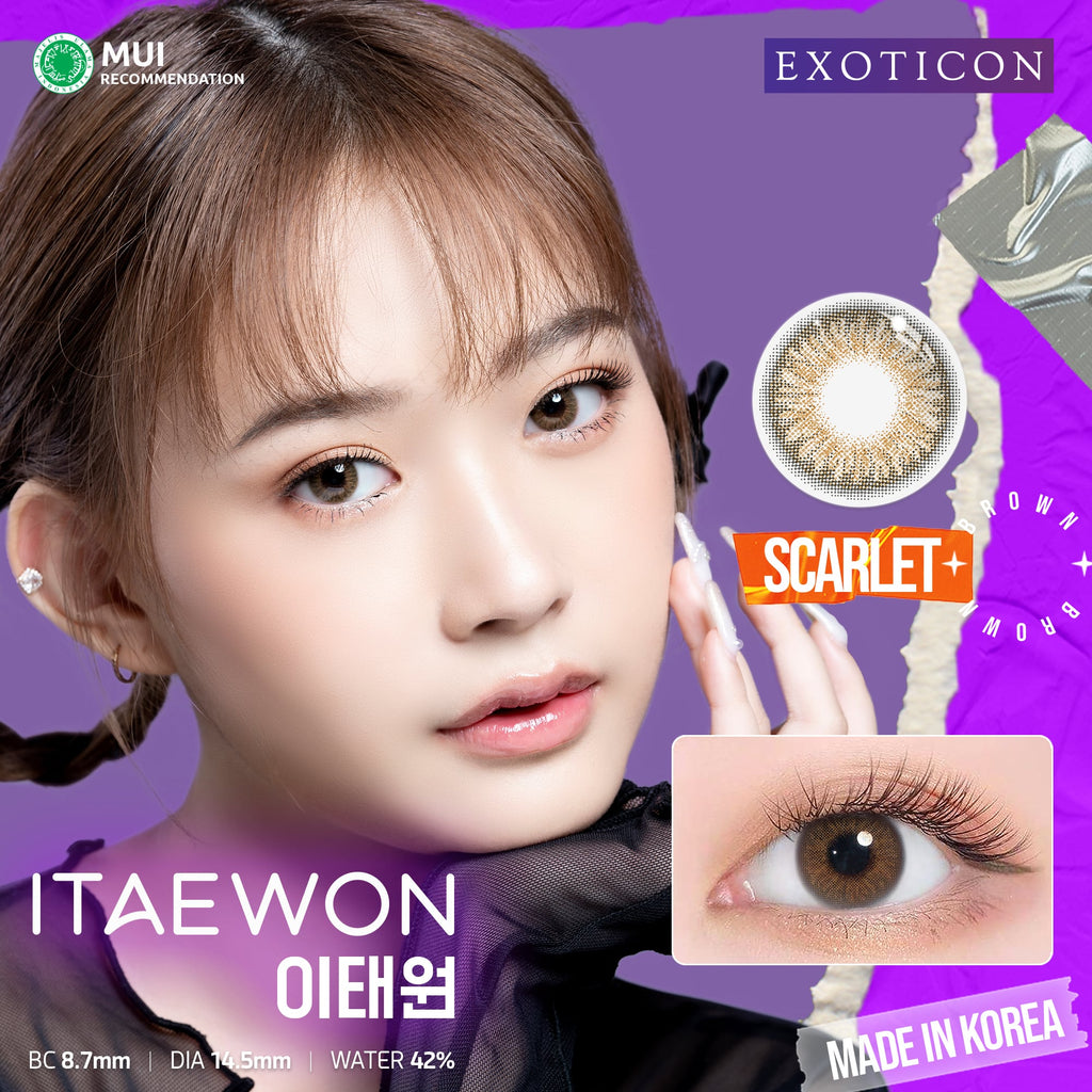 Itaewon Scarlet Brown
