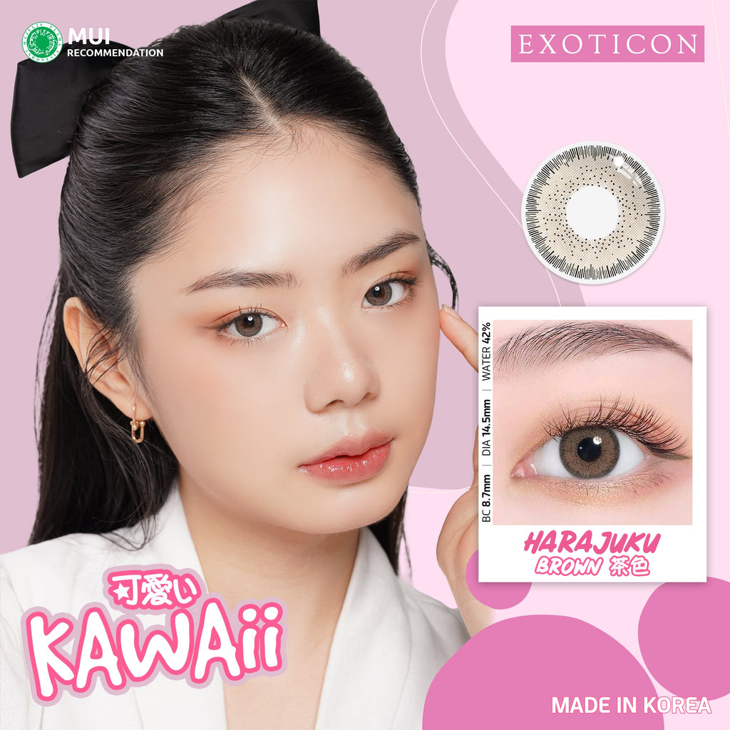 Kawaii Harajuku Brown